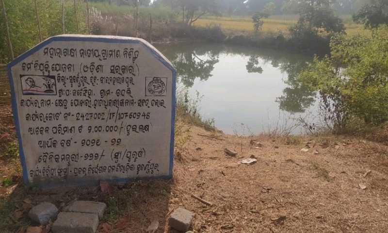 ପୁରୁଣା ପୋଖରୀ କୁ ନୂଆଁ ଦର୍ଶାଇ ଲକ୍ଷାଧିକ ଟଙ୍କା ଠକେଇ ଅଭିଯୋଗ