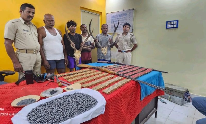 ଦୁର୍ଦାନ୍ତ ଅପରାଧୀ କୁନା ବେହେରା ର ତିନି ପ୍ରମୁଖ ସହଯୋଗୀ ସହ ଶଶୁର ଗିରଫ।ଟାମଣା ସଂରକ୍ଷିତ ଜଙ୍ଗଲରୁ ହରିଣ ସିଙ୍ଗ ସହ ଦେଶୀ ବନ୍ଧୁକ ଓ ଗୁଳି ଜବତ।