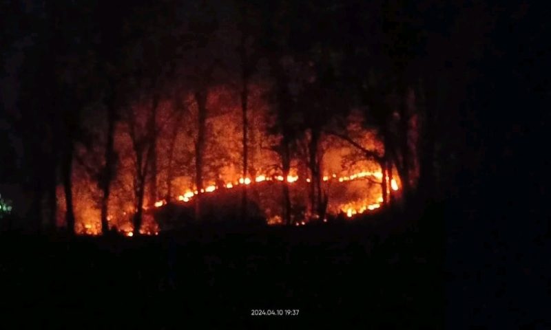 ମେଘପାଳ ଜଙ୍ଗଳରେ ଜଳୁଛି ନିଆଁ