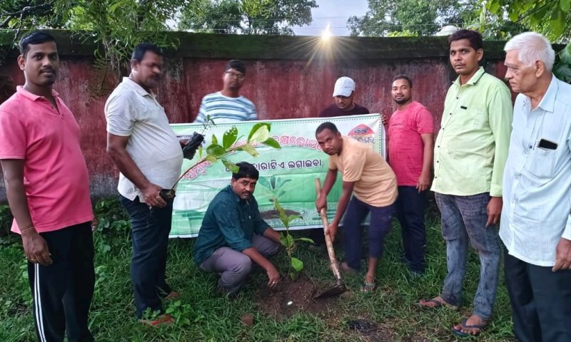 ଗୋବରା ସମ୍ବାଦ ସାହିତ୍ୟ ଘର ପକ୍ଷରୁ ବୃକ୍ଷରୋପଣ