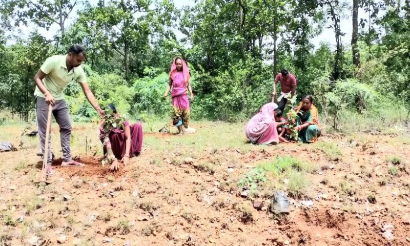 ଖଜୁରିଆପାଲି ଗ୍ରାମ ମହିଳା ମାନଙ୍କ ଦ୍ଵାରା ମା ପାଇଁ ଗଚ୍ଛ ଟିଏ କାର୍ଯ୍ୟକ୍ରମ
