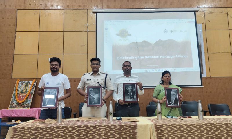 ବନ୍ୟ ଜନ୍ତୁ ଟ୍ରଷ୍ଟ ଓ ଇକୋ କ୍ଲବ ପାଳିଲେ ଗଜ ଉତ୍ସବ