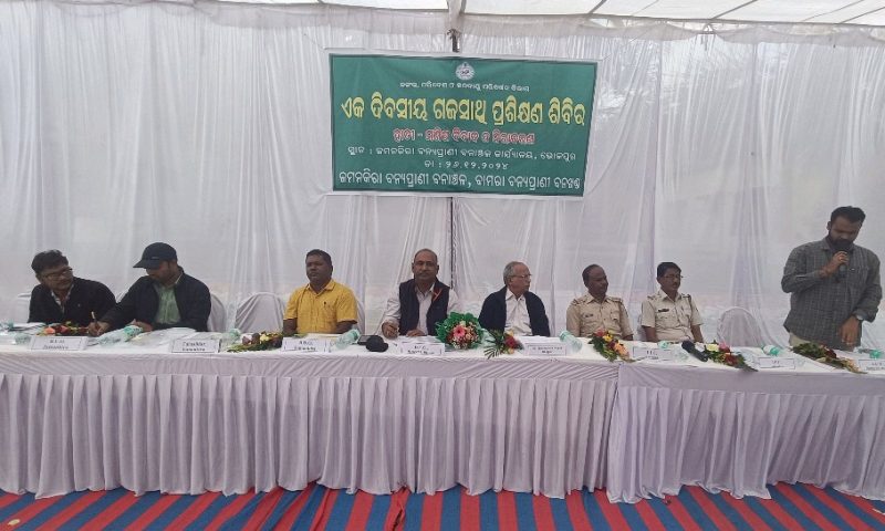 ଭୋଜପୁର ଠାରେ ଏକ ଦିବସୀୟ ଗଜସାଥି ପ୍ରଶିକ୍ଷଣ ଶିବିର ଅନୁଷ୍ଠିତ…ହାତୀ କ୍ଷୟ ହେଉଛି ବିନାଶର କାରଣ… ବିଡ଼ିଓ ରବୀନ୍ଦ୍ର ସେଠୀ
