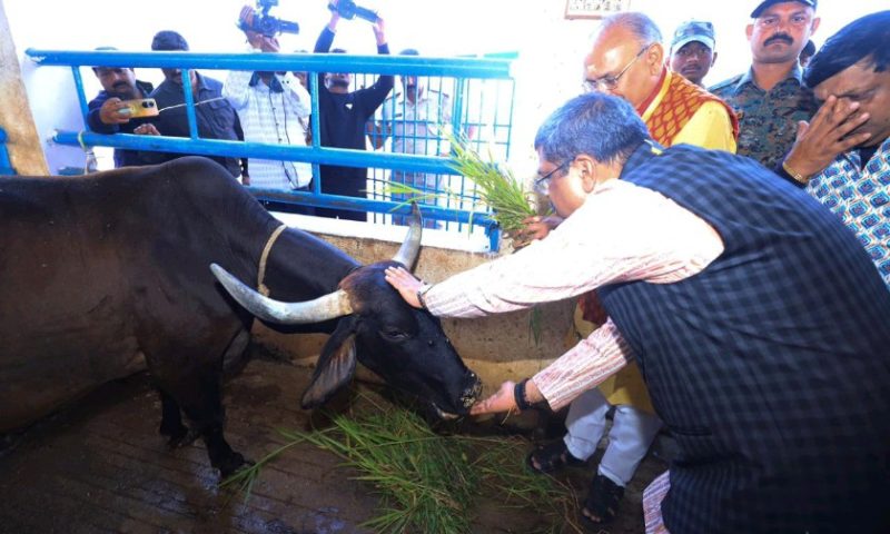 ଶ୍ରୀକୃଷ୍ଣ ଗୌଶାଲାର ୧୨୫ତମ ସ୍ଥାପନା ଦିବସ:ଗୋ ମାତା ହେଉଛନ୍ତି ସୁଖ ଓ ସ୍ୱାସ୍ଥ୍ୟର ଆଧାର – ଧର୍ମେନ୍ଦ୍ର ପ୍ରଧାନ