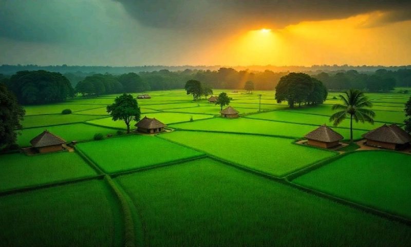ସରକାର କିଣିବେ SC/STଙ୍କ ଜମି; ଝିଅ ବାହାଘର, ପିଲାଙ୍କ ପାଠ ଓ ଚିକିତ୍ସା ପାଇଁ ଜମି ବିକିବାରେ ସମସ୍ୟା ହେଲେ ଦେବେ ସହାୟତା
