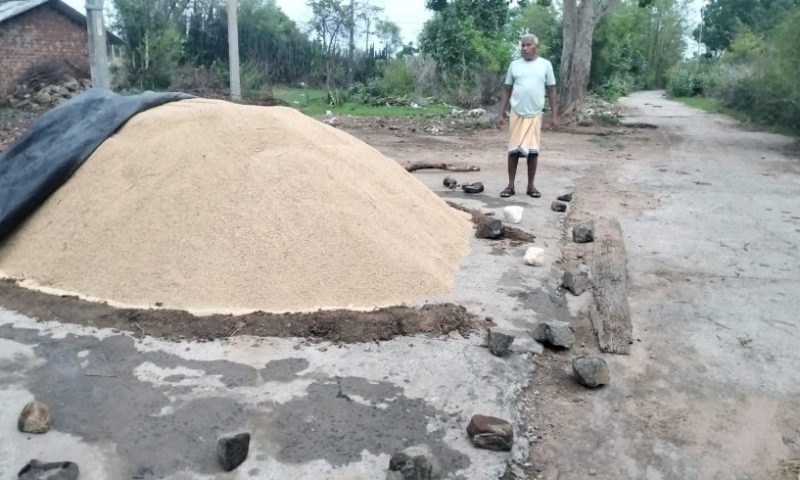 ବୀରମହାରାଜପୁର କୃଷି ଜିଲ୍ଲା ରେ ଲଗାଣ ବର୍ଷା ଯୋଗୁଁ ବ୍ୟାପକ ରବି ଧାନ ଫସଲ ନଷ୍ଟ