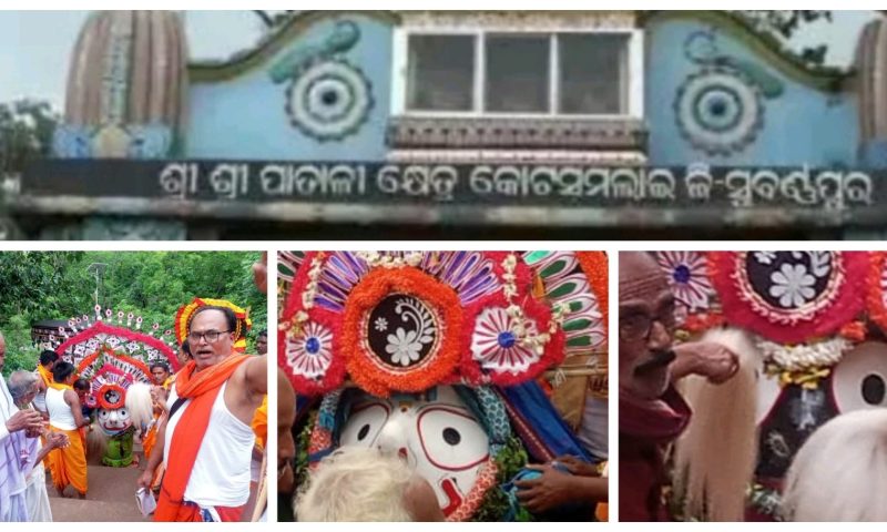 ପାତାଳୀ ଶ୍ରୀକ୍ଷେତ୍ର ରେ ମହାପ୍ରଭୁଙ୍କ ନିଳାଦ୍ରି ବିଜେ ଅନୁଷ୍ଠିତ
