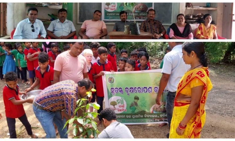 ହରିଣା ପାଲି ଉଚ୍ଚ ପ୍ରାଥମିକ ବିଦ୍ୟାଳୟ ରେ ମା ପାଇଁ ଗଚ୍ଛ ଟିଏ କାର୍ଯ୍ୟକ୍ରମ